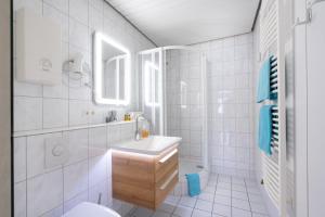 Penthouse Falkennest