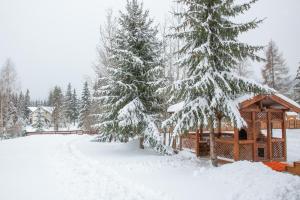 Kamilla Vendégház Borzont