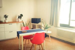 Appartements Studio hyper centre (pros et vacanciers) : photos des chambres