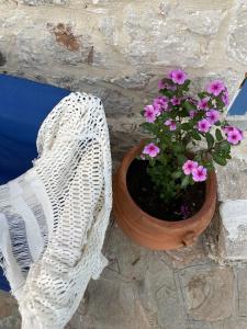 Marina Castellana Studios