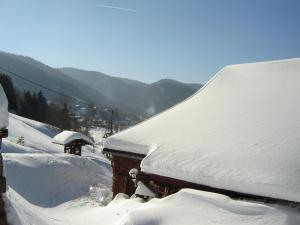 Charmant Gîte avec Garage et Local Vélos au Pied des Pistes de La Bresse - FR-1-589-127
