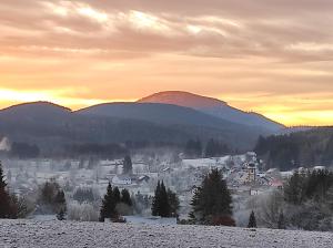 Chalets CHALET COUP DE COEUR MAGNIFIQUE MASSIF VOSGES ALSACE : Chalet 3 Chambres