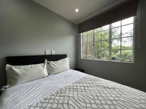 Halleria Self Catering