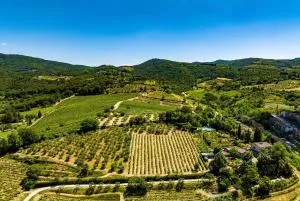 Podere Campriano Winery Adult only - Greve in Chianti