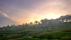 Talula Hill Farm Resort - Sungai Sayung