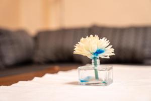 Apartment of Közraktár