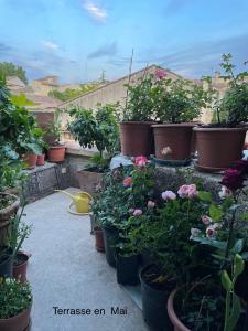 Maisons d'hotes Jolie Chambre avec petit jardin vue magnifique Pernes les Fontaines : photos des chambres