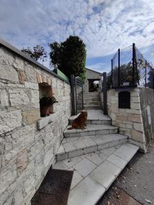 Casa Dolce Casa