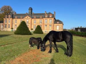 Maisons d'hotes Chateau de Lauresse - Chambres d'hotes de luxe : photos des chambres