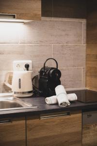 Chaleureux plein centre ville et proche du Lac