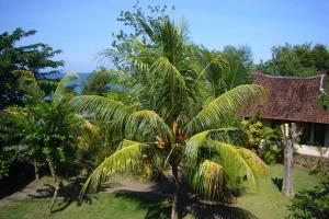 Jukung Bali Bungalow