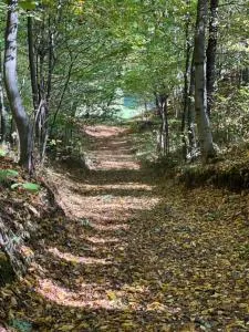 Siedlisko Wyżne - Czudec