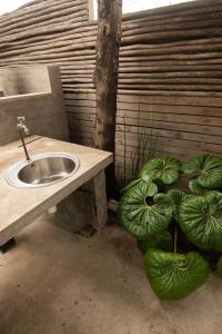 Cabañas KINESURF - Punta de Lobos