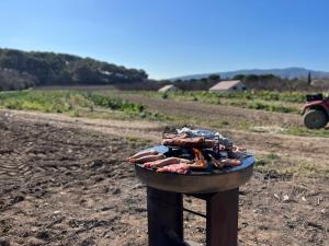 Appartements a la ferme : photos des chambres