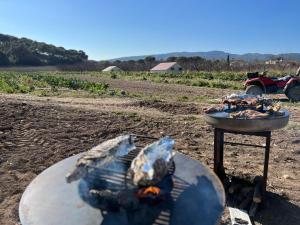Appartements a la ferme : photos des chambres