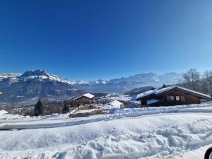 Appartement - Vue Mont-Blanc