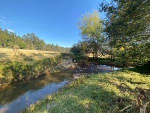 Suanoga - Finca Turística
