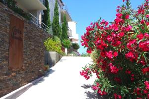 Appartements Residence Costa Vermella, vue mer et montagne au calme : Appartement - Vue sur Mer