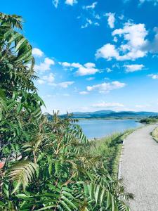 Domki nad jeziorem-Wodnik