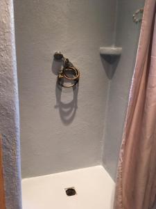 Maisons de vacances La rose bleue (2) : photos des chambres