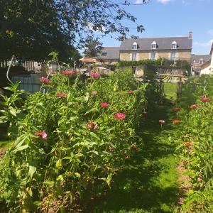 Maisons de vacances Gite des Lavandieres : photos des chambres