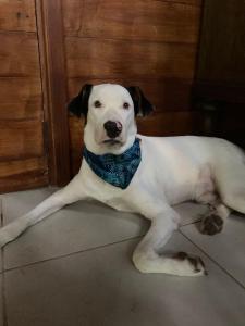 Casa Oceana Bed & Breakfast