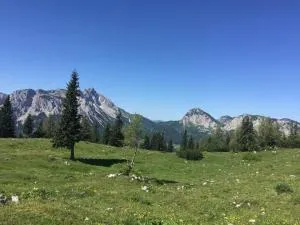 Sandys Ferienwohnung im Grünen - Thörl