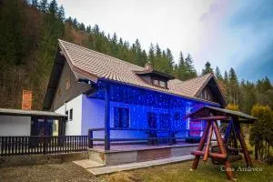 Casa Andreea - Borca