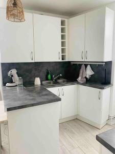 Appartements Superbe appt meuble hyper centre de Gan : photos des chambres