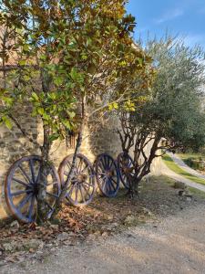 Maisons de vacances Sejournez au coeur du Perigord - La P'tite Maison, gite de charme a Carlux, pres de Sarlat : photos des chambres