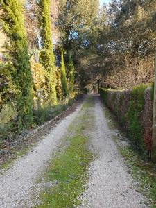 Maisons de vacances Sejournez au coeur du Perigord - La P'tite Maison, gite de charme a Carlux, pres de Sarlat : photos des chambres