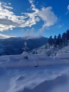 Majestic Himalayan homestay