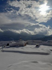 Majestic Himalayan homestay