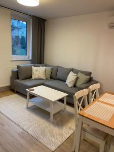 APARTAMENTY GUZIK 22