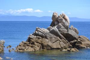 Maisons de vacances LES APPARTS DU VALINCO - VILLA 77 - CORSE 2A -ANCV : photos des chambres
