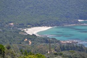 Maisons de vacances LES APPARTS DU VALINCO - CORSE DU SUD : photos des chambres