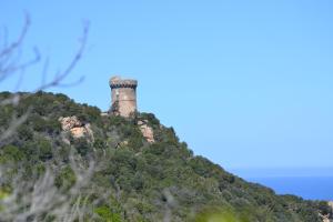 Maisons de vacances LES APPARTS DU VALINCO - CORSE DU SUD : photos des chambres