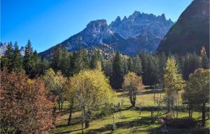 Amazing Apartment In Località Carbonin