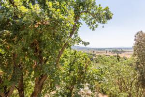 Maisons de vacances Le charme d'un pigeonnier provencal avec piscine : photos des chambres