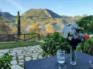 Vivienda Turística El Acebuchal