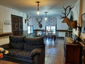 Vivienda Turística El Acebuchal