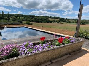 Maisons de vacances Spacious house in rural Quercy with swimming pool : photos des chambres