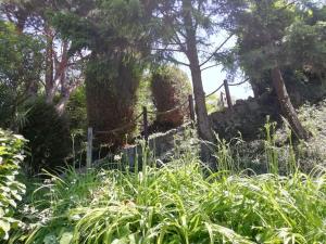 Meublé avec jardin au bord lac du Bourget