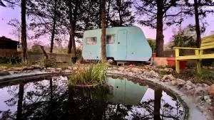 Ir por ai Arrábida - Portinho da Arrábida