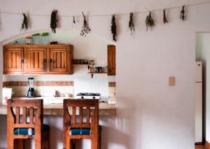 Hostal Tribu Malinalco