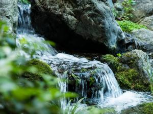 Japanese Onsen Ryokan Kohakuen