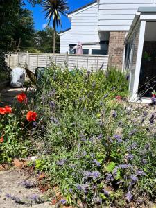 Cosy coastal home - 5 mins walk from the beach