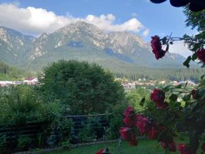 Casa Luce - camere de inchiriat