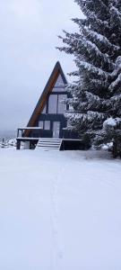 Cabana Corbilor The Ravens Hut