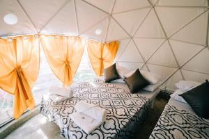 Cozy Dome Glamping w/ Private Hot Spring (2pax)